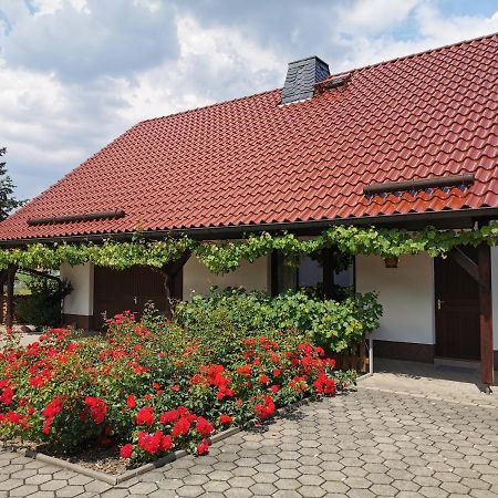 Ferienhaus Rosenhof Glaubitz Ngoại thất bức ảnh