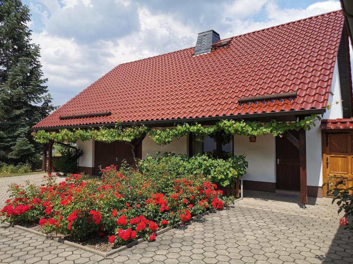 Ferienhaus Rosenhof Glaubitz Ngoại thất bức ảnh