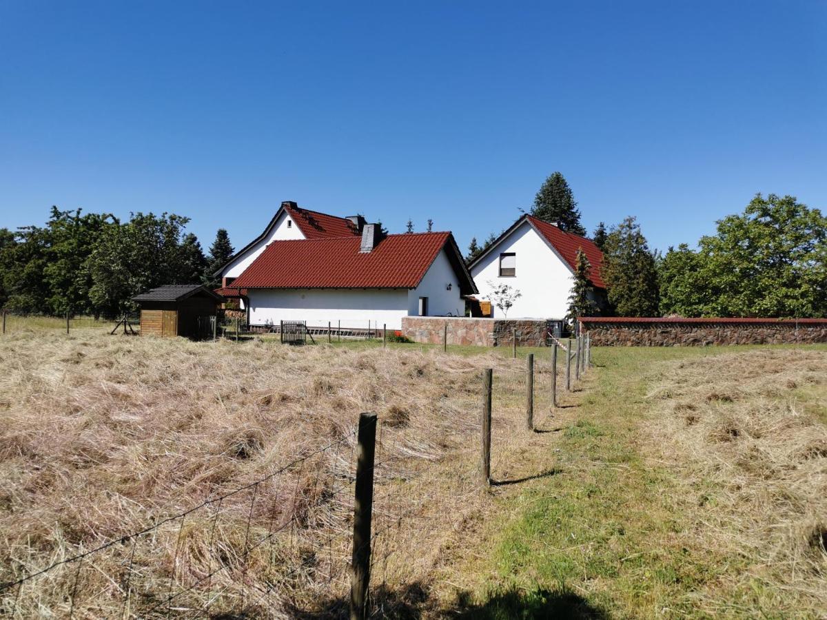 Ferienhaus Rosenhof Glaubitz Ngoại thất bức ảnh