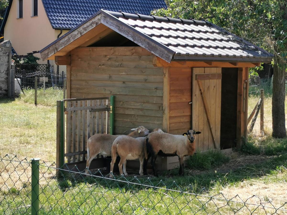 Ferienhaus Rosenhof Glaubitz Ngoại thất bức ảnh